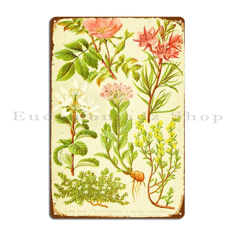 Hd Vintage Flowery Bouquet Des – обзор и цена Home Cinema Wall Design
