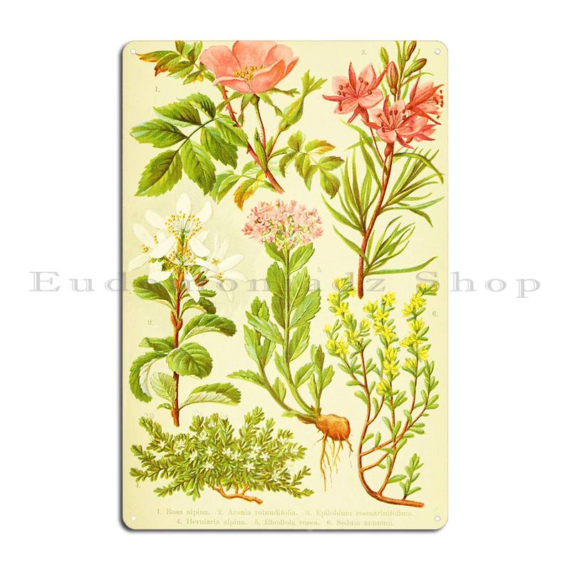 Hd Vintage Flowery Bouquet Des – обзор и цена Home Cinema Wall Design