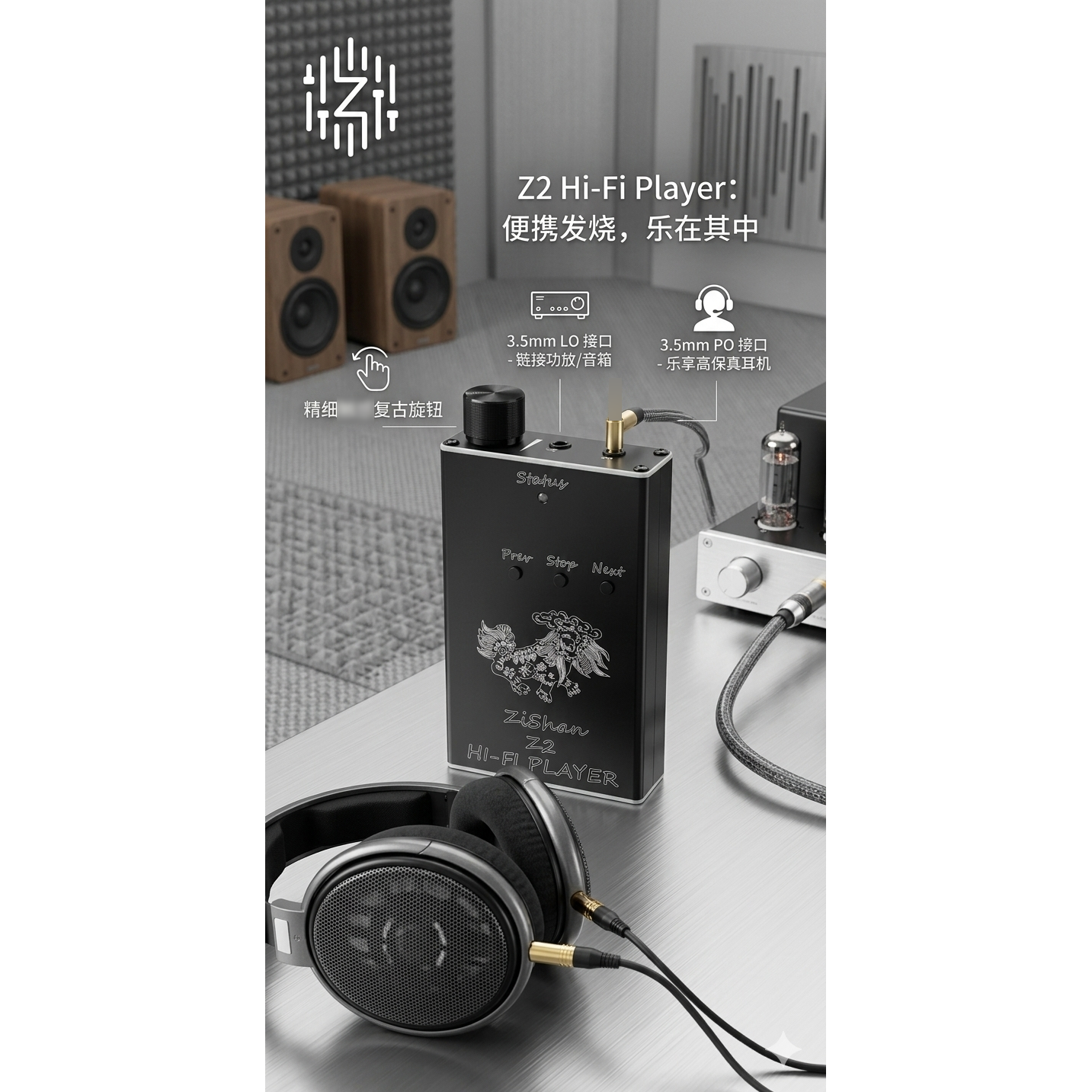 Zishan Z2 hifi DSD hard soluti – обзор и цена Home Cinema Hifi
